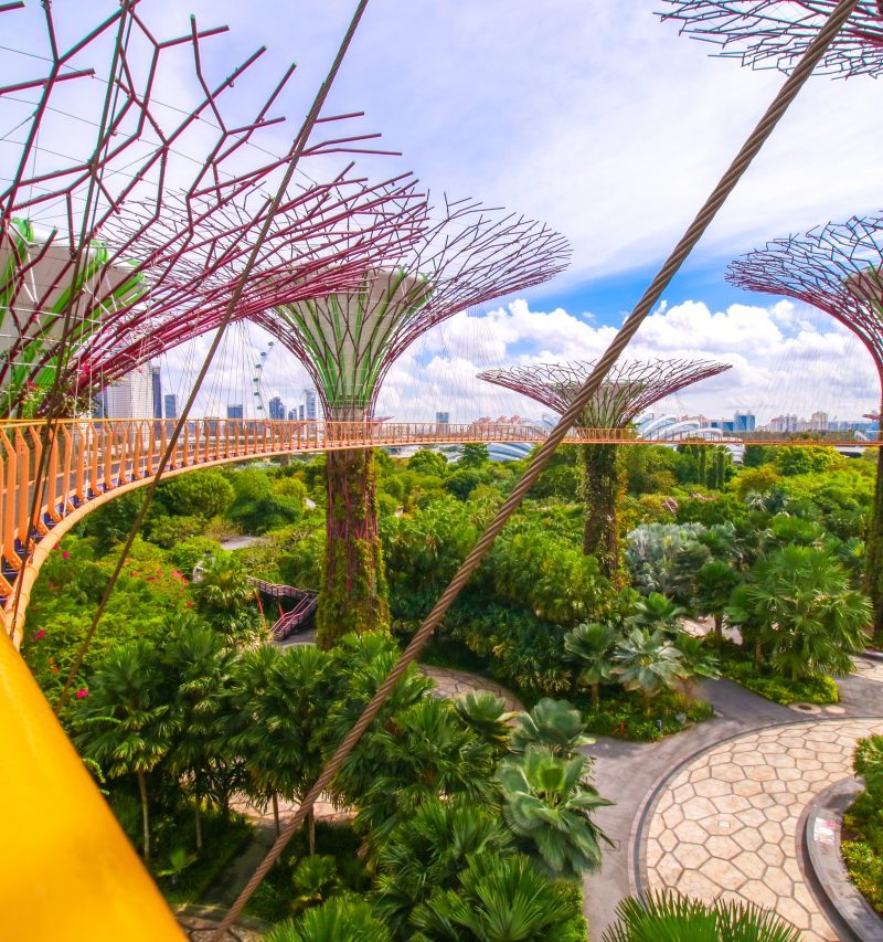 OCBC Skyway, singapore