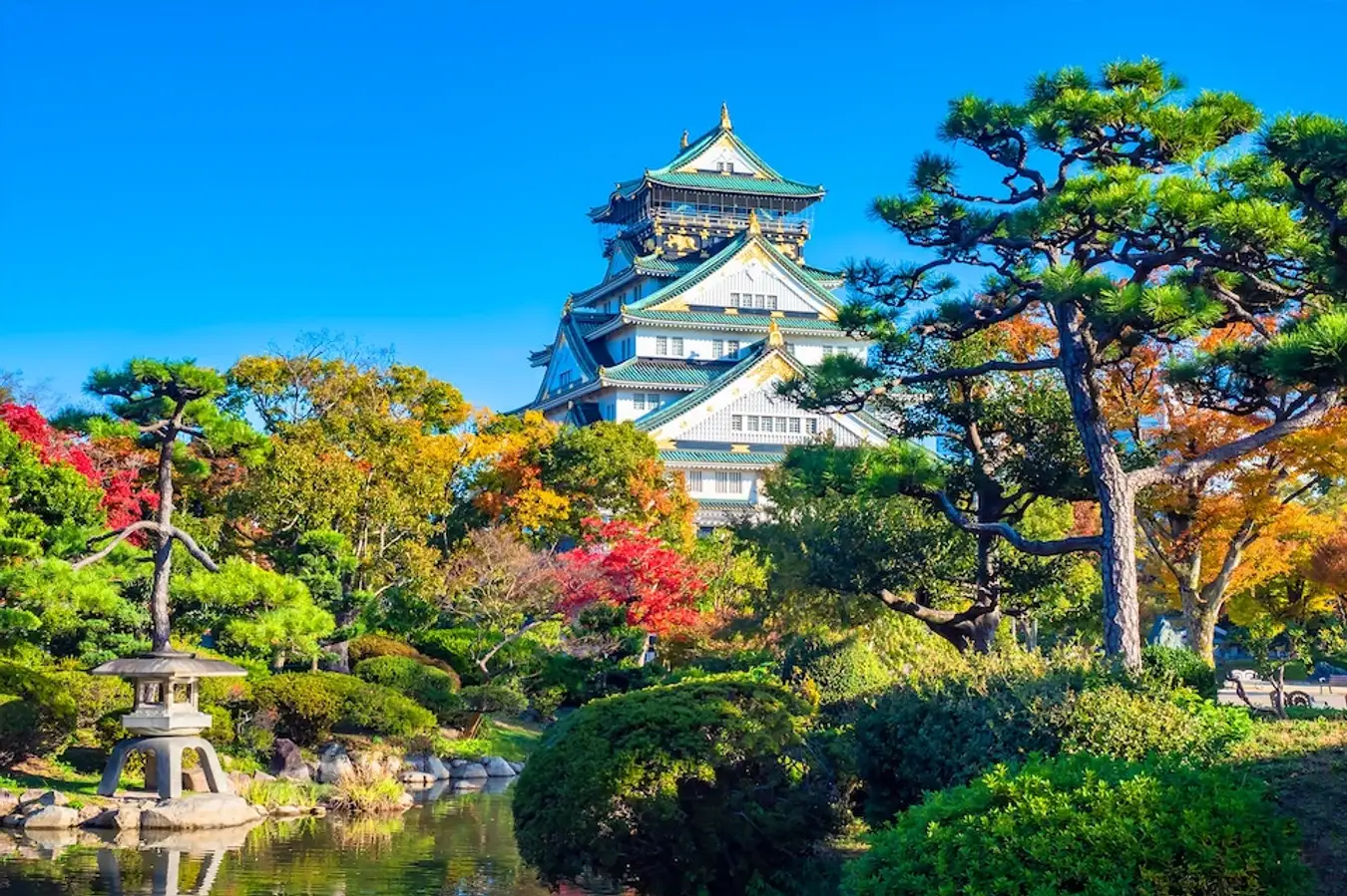Lâu đài Osaka mùa lá Vàng